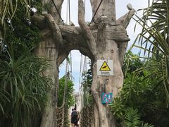-巴拉湾海滩