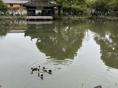 -绍兴鲁迅故里·沈园景区