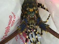-渔人码头(洛溪店)