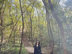 -青龙山风景区