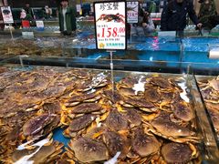 -宝燕海货工场(长江国际店)
