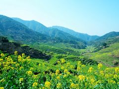 -婺源风景区