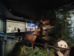 -四川大学博物馆