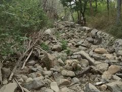 -阳台山自然风景区