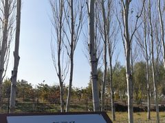 -东郊湿地公园