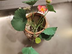 -单家老院·院子里的青岛菜(沙子口店)