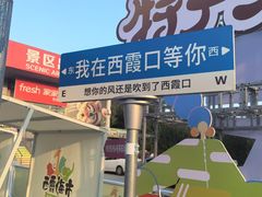 -西霞口神雕山野生动物世界