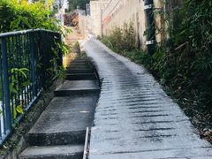 -南丫岛