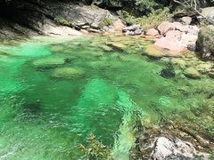 -黄山翡翠谷景区