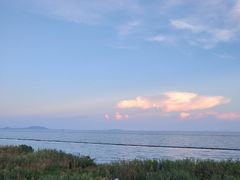 景点-合肥滨湖国家森林公园