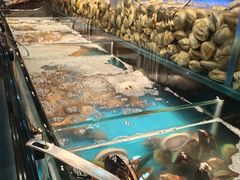 -苏格里岛自助烤肉海鲜火锅(成都金牛万达店)
