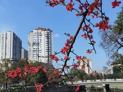 -成都市活水公园