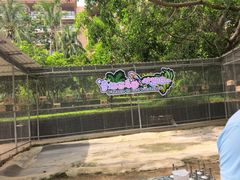 -三亚亚龙湾红树林度假酒店