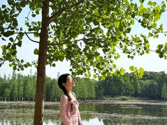 -白鹭湾湿地公园