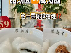 -朱新年·苏式汤团·面点(北寺塔店)