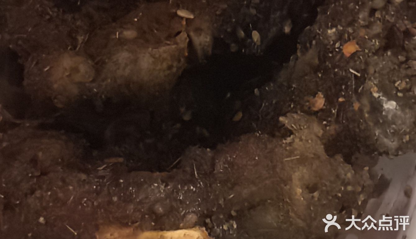 油炸控福音，绝对好吃