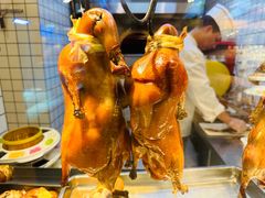 -大鹏饭店·金陵家宴(奥体中心店)