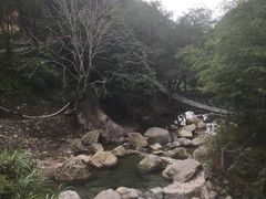 -宁波五龙潭景区