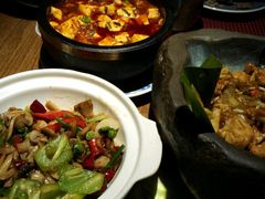 -雀舞云南菜(乐客城店)