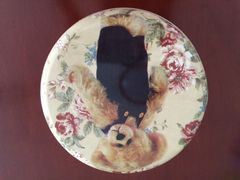 iphone_upload_pic-珍妮曲奇聪明小熊(尖沙咀店)