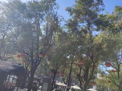 -大唐不夜城贞观广场