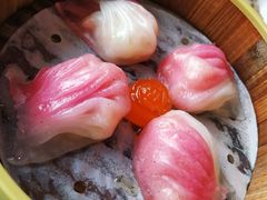 -海皇食府(水都假日酒店店)