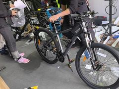 -道路口单车爱瓦士dahon大行