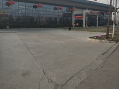 -君临七星生态酒店