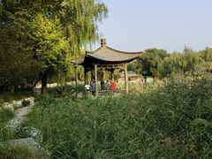 -三忘湖 SWANSEEN(柳荫公园店)