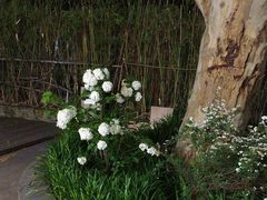 -FEI FEI FLOWER鲜花店·气球派对·宝宝宴布置(虹口德必运动Loft店)