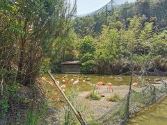 -千岛湖东南湖区