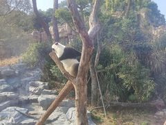 -宁波野生动物园