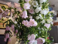 -绝城芋儿鸡(犀浦旗舰店)