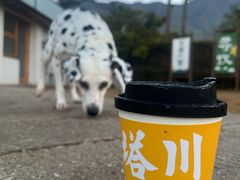 -塔川景区