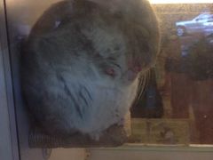 -龙猫仔乐园(惠福东路店)