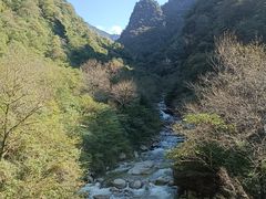 -青峰峡国家森林公园