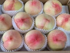 -南汇新场正宗水蜜桃采摘