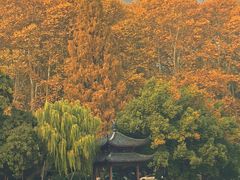 -北山街历史文化街区