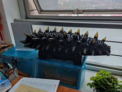 -宫品海参专卖店(静安大宁店)