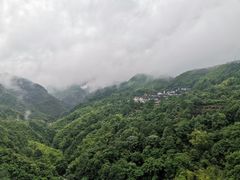 -四明山国家森林公园