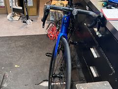 -TREK崔克自行车(徐汇滨江店)