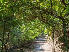 -北京鹫峰国家森林公园