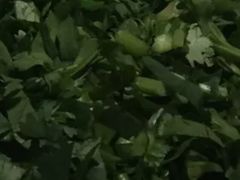 香菜-蜀留香火锅·始于1999·原四川老火锅(白堤路店)