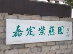 -嘉定紫藤园