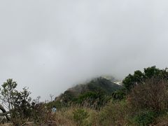 -梧桐山风景名胜区