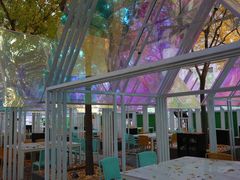 -香港狮子山下·明星粤菜餐厅(北苑店)