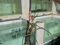 -海盗餐厅