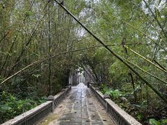 -开平碉楼文化旅游区马降龙景区