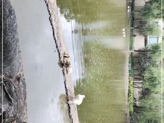 -西安市长乐公园