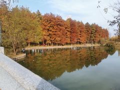 -汉水公园